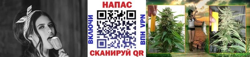 Марихуана конопля  Купить закладки  Цоци-Юрт 